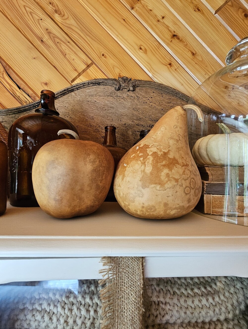 Fall Harvest Real Dried Rustic Gourds Set Of Two